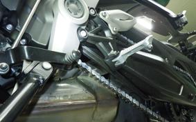 TRIUMPH DAYTONA 660 2024