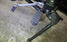 KAWASAKI KLX250D TRACKER X 2025 LX250V