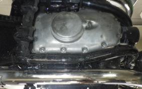KAWASAKI W800 CAFE 2020 EJ800B