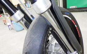 YAMAHA WR250X DG15J
