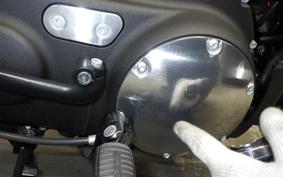 HARLEY XL883N 2021