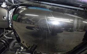 KAWASAKI W800 CAFE 2021 EJ800B