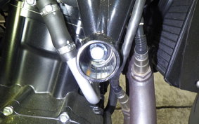 HARLEY X500 2023
