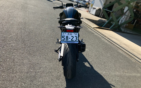 BMW F900R BASE 2024 0K11