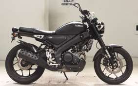 YAMAHA XSR155