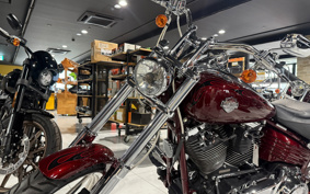 HARLEY FXCWC 2008 JK5