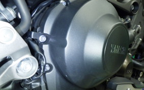 YAMAHA MT-09 Tracer 2015 RN36J