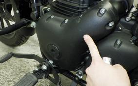 OTHER +ENFIELD ﾒﾃｵ350 2025