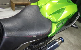 KAWASAKI NINJA 1000 2010