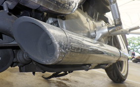 HARLEY XL883LI
