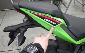 KAWASAKI NINJA ZX-6R A 2023 ZX636G