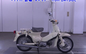 HONDA LITTLE CUB