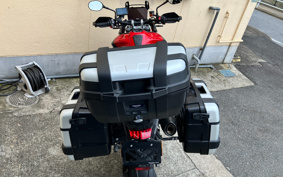 TRIUMPH TIGER 900GTARAGON 2023 TRE64D