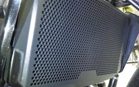 YAMAHA MT-09 ASP RN52J