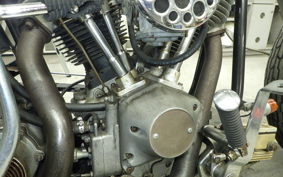 OTHER UNREGISTERED MODEL by BDS1330 2015