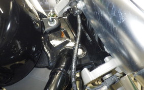 HARLEY FLFB 1750 2019