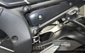 YAMAHA FZ1 FAZER 2010 RN21J