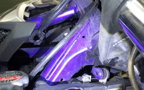 YAMAHA MT-25 2019 RG10J