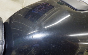 HARLEY RH975S 2023