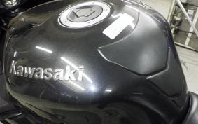 KAWASAKI ZX 1400 NINJA R A 2014