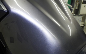KAWASAKI VERSYS-X 250 A 2015 LE250D