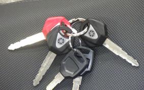 YAMAHA XSR900 2021 RN56J