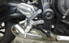 TRIUMPH TRIDENT 660 2025