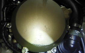 KAWASAKI ZX 1200 NINJA R 2001