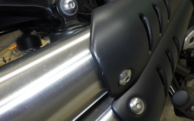 TRIUMPH SCRAMBLER 900 2021