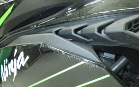 KAWASAKI ZX-4RR 2023 ZX400P