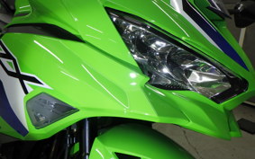 KAWASAKI ZX-4RR 2026 ZX400P