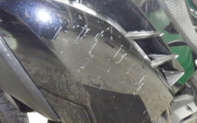 KAWASAKI NINJA 250 EX250L