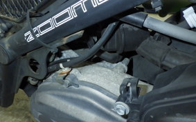 HONDA ZOOMER 2021 AF58