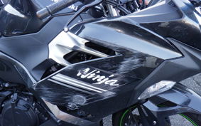 KAWASAKI NINJA 250 EX250P