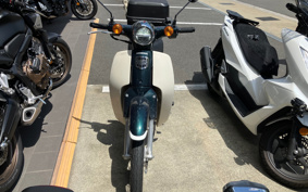 HONDA SUPER CUB110 JA44