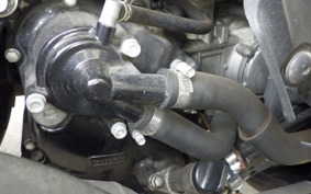 YAMAHA MAJESTY 250 SG20J