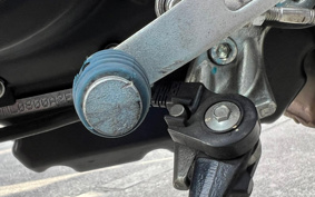 DUCATI  DUCATI  MONSTAR 797 PLUS  2019 MD01