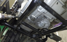 SUZUKI VANVAN 200 2021 NH42A