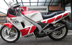 YAMAHA TZR250-1 1KT