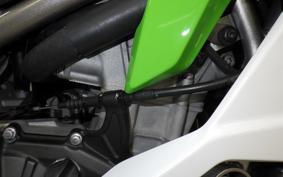 KAWASAKI ZX-4RR 2024 ZX400P