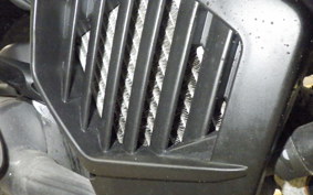 HONDA DUNK 2013 AF78