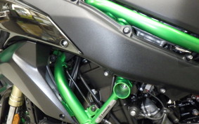 KAWASAKI ZH2 SE 2025