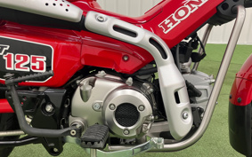 HONDA CT125 HUNTER CUB JA55