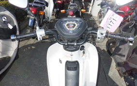 HONDA C110 SUPER CUB 2025 JA10