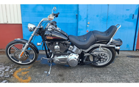 HARLEY FXSTC1340 2010 JL5