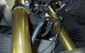 HONDA CBR250RR A 2019 MC51