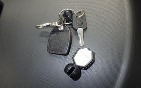 OTHER CAN-AMﾗｲｶｰ600 2019