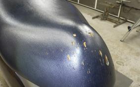 SUZUKI ﾚｯﾂﾊﾞｽｹｯﾄ CA4AA