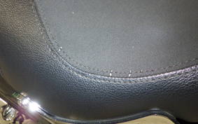 HARLEY FXCW 1580 2009