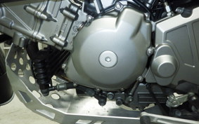 SUZUKI Vｽﾄﾛｰﾑ650 2009